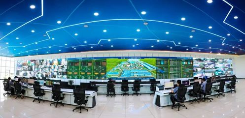 金鼎鋼鐵 以信息技術(shù)研發(fā)之“綠”，鑄就發(fā)展底色中的別樣“紅”